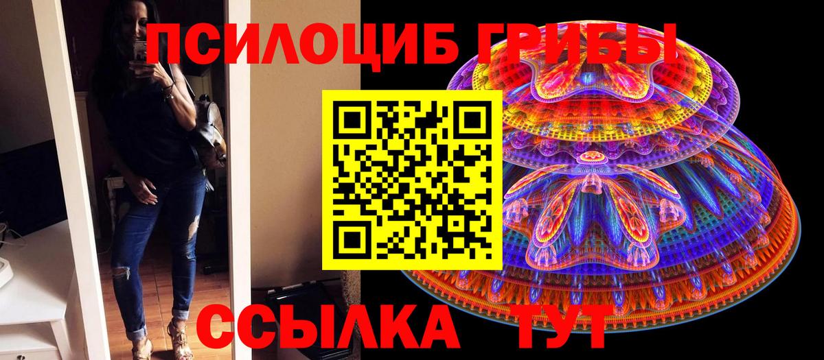 Псилоцибиновые грибы Psilocybe  Вход с VPN  Михайловск 
