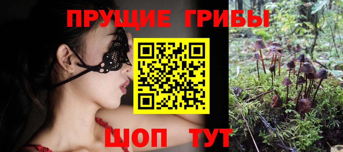 Псилоцибиновые грибы GOLDEN TEACHER Михайловск